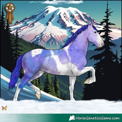 Horse Color:Watercolor Bay Tobiano Rabicano 