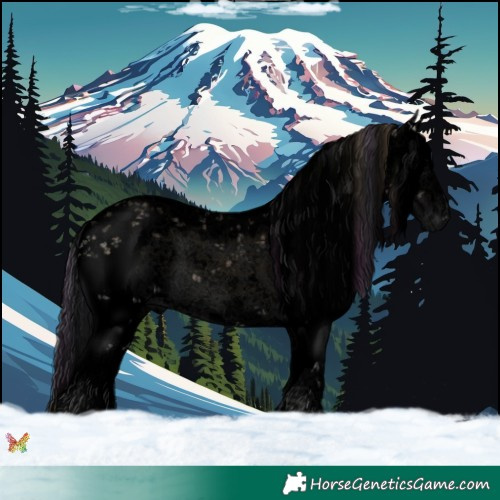 Horse Color:Void Plaid  White Spotted Brown Onyx Sabino Rabicano 