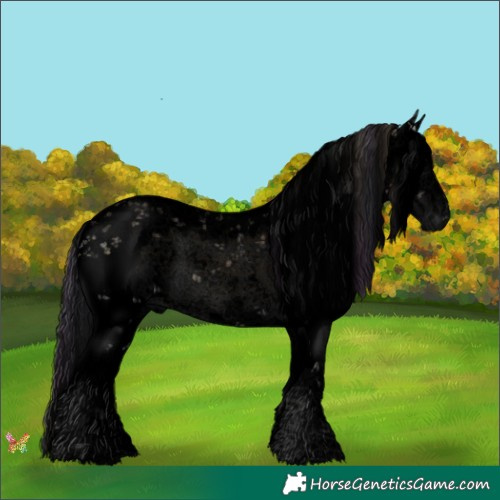 Horse Color:Void Plaid  White Spotted Brown Onyx Sabino Rabicano 