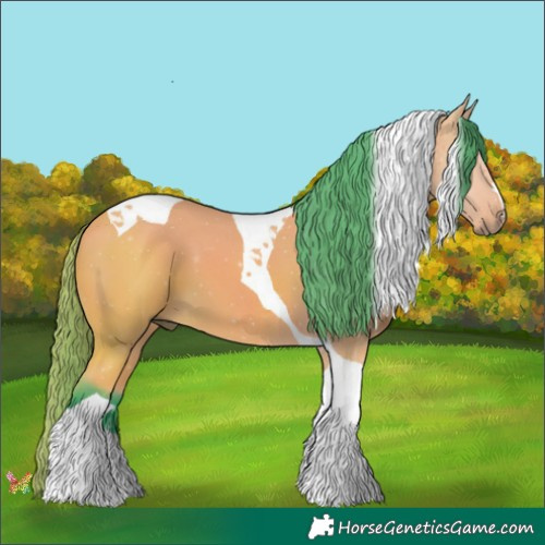 Horse Color:Watercolor Buckskin Tobiano 