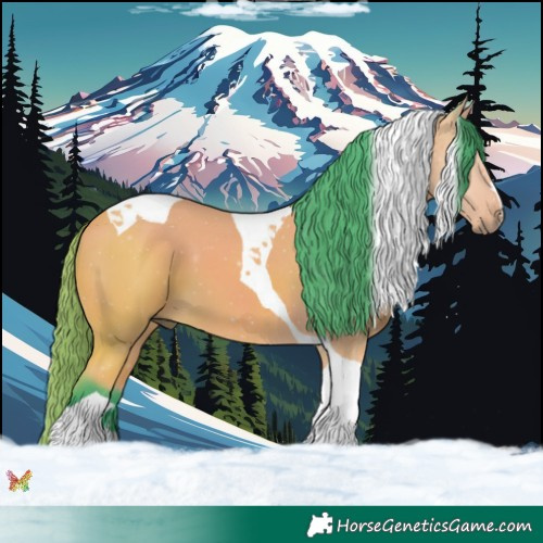 Horse Color:Watercolor Buckskin Tobiano 