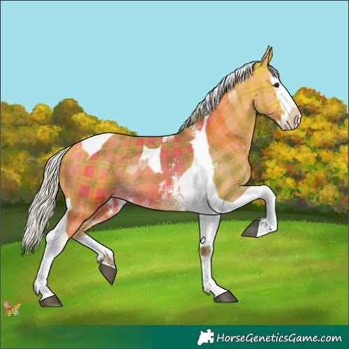 Horse Color:Plaid  Silver Buckskin Sabino Splash Tobiano 