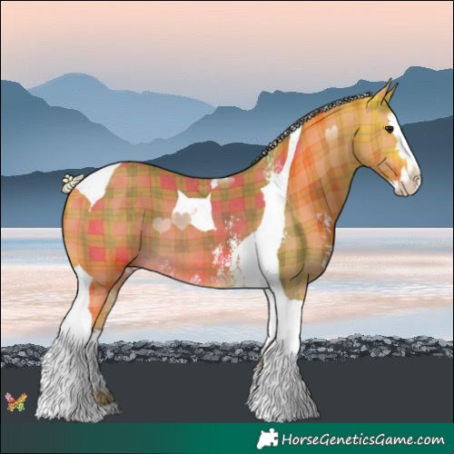 Horse Color:Plaid  Silver Buckskin Sabino Splash Tobiano 