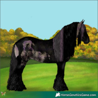 Horse Color:Void Plaid Smoky Blue Onyx Sabino Splash Tobiano