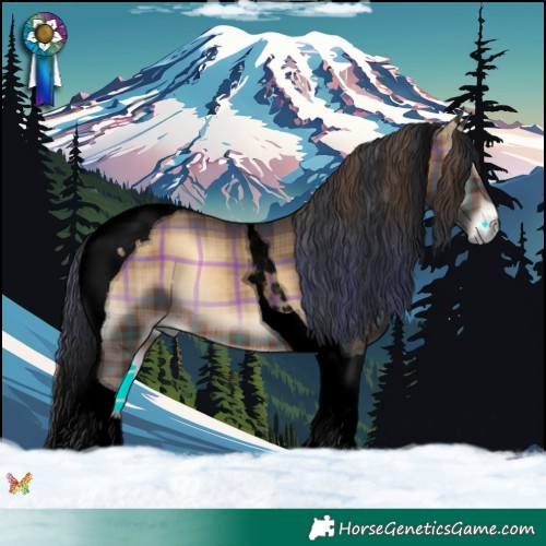 Horse Color:Void Plaid  Brown Onyx Tobiano 