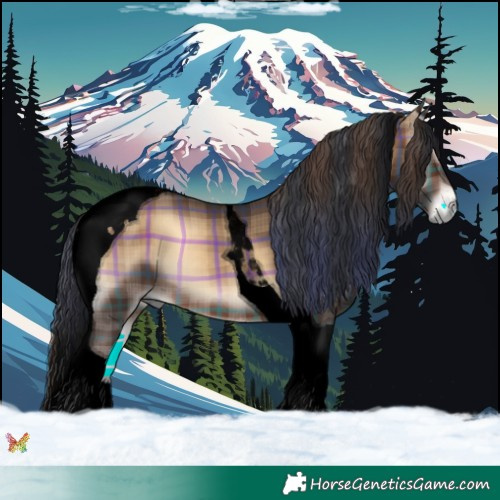 Horse Color:Void Plaid  Brown Onyx Tobiano 