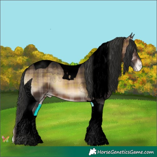 Horse Color:Void Plaid  Brown Onyx Tobiano Appaloosa 