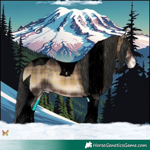 Horse Color:Void Plaid  Brown Onyx Tobiano Appaloosa 