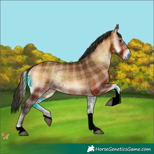 Horse Color:Void Plaid  Brown Onyx Tobiano 