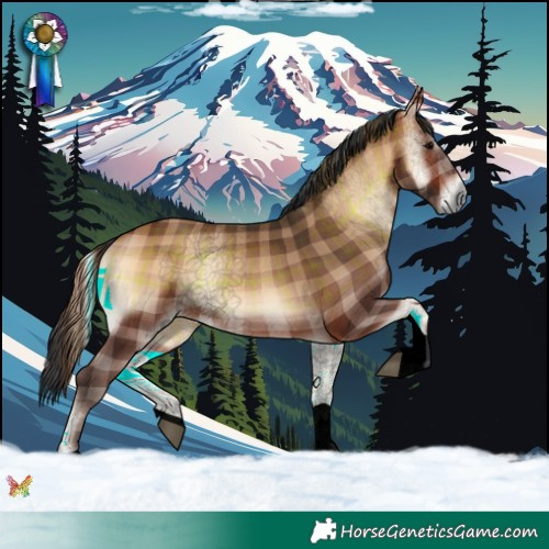 Horse Color:Void Plaid  Brown Onyx Tobiano 