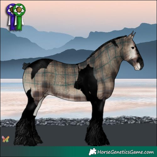 Horse Color:Void Plaid  Blue Onyx Tobiano Varnish 