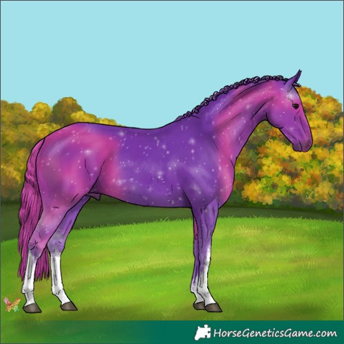 Horse Color:Watercolor White Spotted Black 