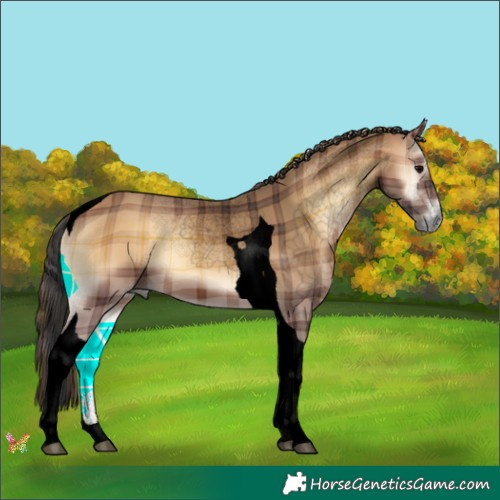 Horse Color:Void Plaid  Brown Onyx Tobiano 