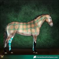 Horse Color:Void Plaid Bay Onyx Tobiano