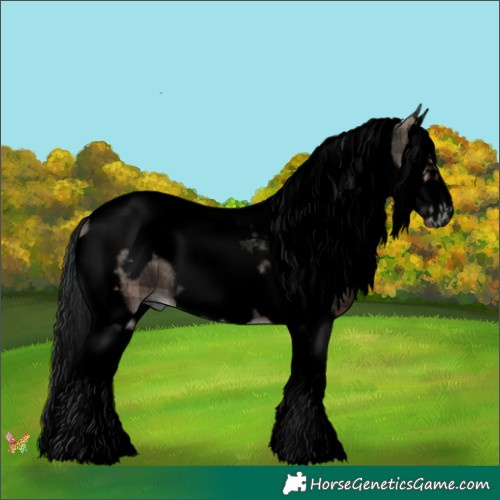 Horse Color:Void Plaid  Blue Onyx Roan Splash Tobiano Frame 