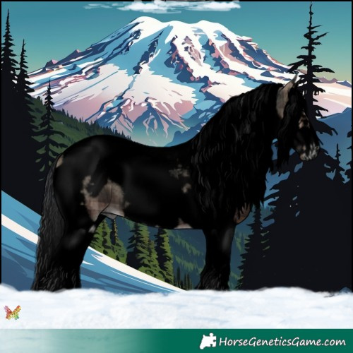 Horse Color:Void Plaid  Blue Onyx Roan Splash Tobiano Frame 