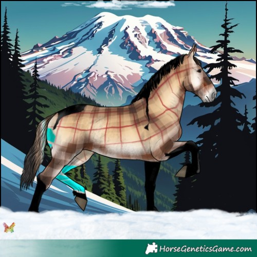 Horse Color:Void Plaid  Brown Onyx Tobiano Rabicano 