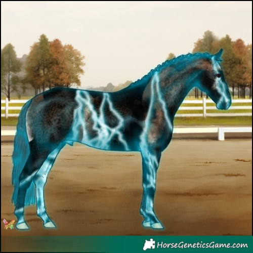 Horse Color:Void Thunderstruck White Spotted Brown Onyx Tobiano 