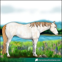 Horse Color:Smoky Grullo Pearl Sabino Rabicano