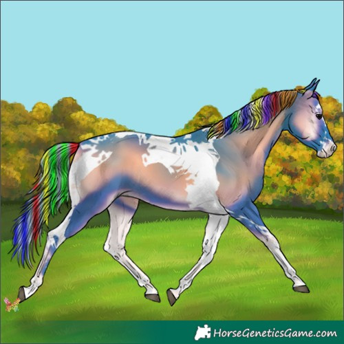 Horse Color:Painted Watercolor Blue Onyx Splash Tobiano 