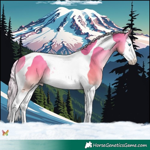 Horse Color:Gold Cream Champagne Onyx Splash Tobiano 