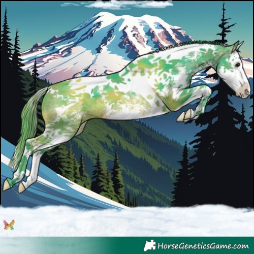 Horse Color:Watercolor Plaid Brown Sabino Splash Tobiano