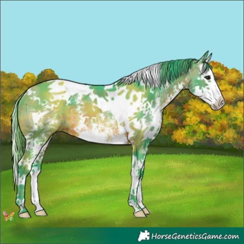 Horse Color:Watercolor Plaid  Brown Sabino Splash Tobiano 