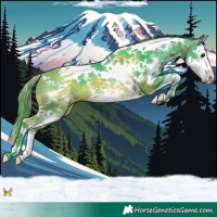 Horse Color:Watercolor Plaid  Brown Sabino Splash Tobiano 