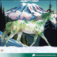 Horse Color:Watercolor Plaid  Brown Sabino Splash Tobiano 