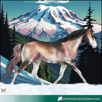 Horse Color:White Spotted Liver Red Onyx 