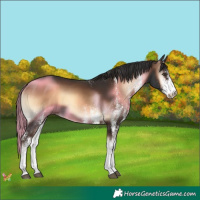 Horse Color:White Spotted Liver Red Onyx 