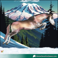 Horse Color:White Spotted Liver Red Onyx 