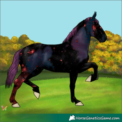 Horse Color:ERROR: UNKNOWN ANOMALY