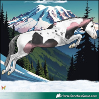 Horse Color:Brown Splash Tobiano