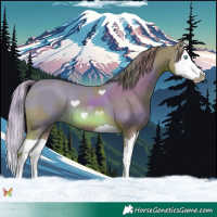 Horse Color:Watercolor Chestnut Splash 