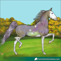Horse Color:Watercolor Chestnut Splash