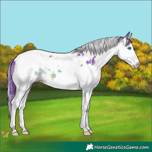 Horse Color:Watercolor Brown Splash Tobiano 