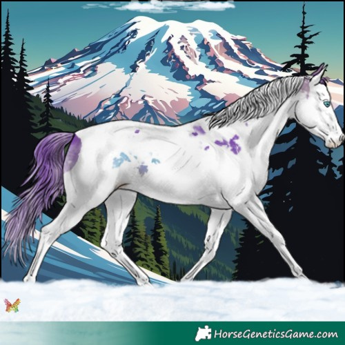 Horse Color:Watercolor Brown Splash Tobiano 