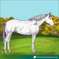 Horse Color:Watercolor Brown Splash Tobiano 
