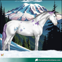 Horse Color:Watercolor Brown Splash Tobiano 