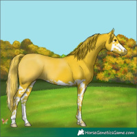 Horse Color:Watercolor Liver Chestnut Splash 