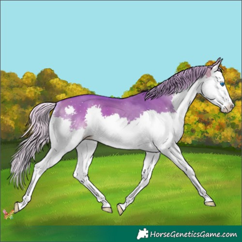 Horse Color:Watercolor Silver Brown Dun Splash 