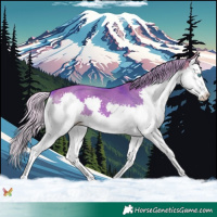 Horse Color:Watercolor Silver Brown Dun Splash 