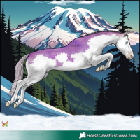 Horse Color:Watercolor Silver Brown Dun Splash