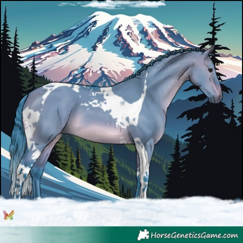 Horse Color:Watercolor Brown Dun Tobiano 