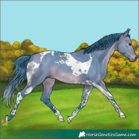 Horse Color:Watercolor Brown Dun Tobiano 