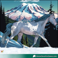 Horse Color:Watercolor Brown Dun Tobiano 