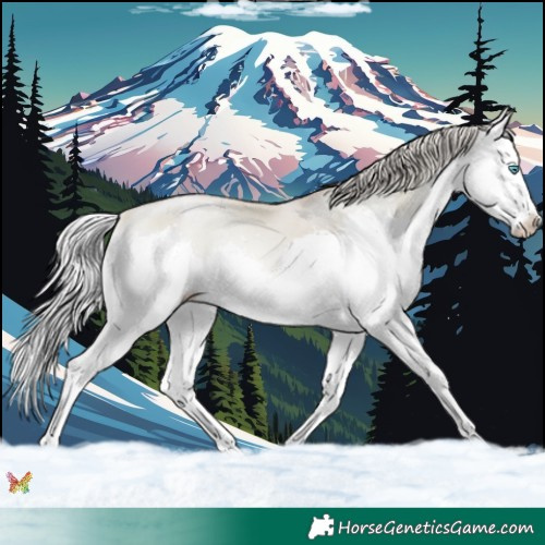 Horse Color:Watercolor Silver Sable Cream Champagne Pearl Onyx Splash 