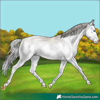 Horse Color:Watercolor Silver Sable Cream Champagne Pearl Onyx Splash 