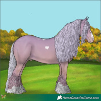 Horse Color:Watercolor Silver Sable Cream Champagne Dun
